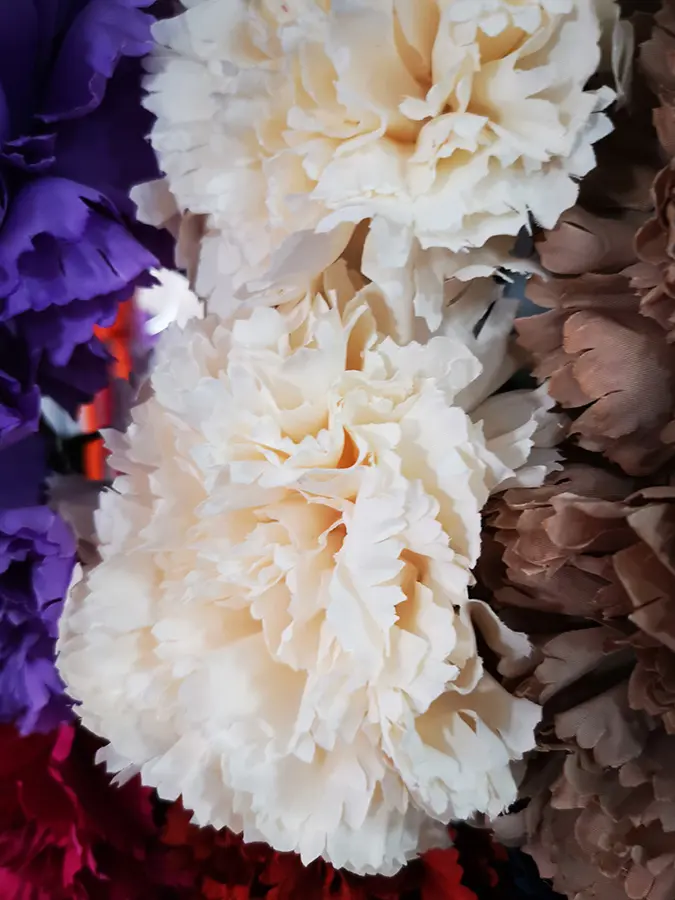 Maxi clavel 01